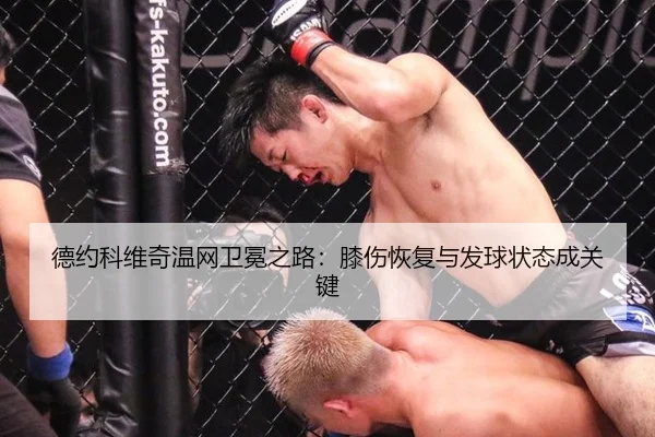 德约科维奇温网卫冕之路：膝伤恢复与发球状态成关键