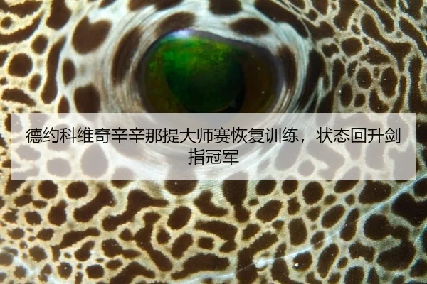 de-yue-ke-wei-qi-xin-xin-na-ti-da-shi-sai-hui-fu-xun-lian-zhuang-tai-hui-sheng-jian-zhi-guan-jun-3-898.jpg