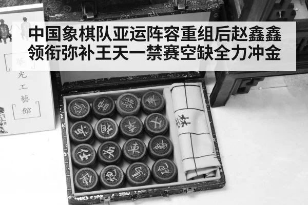 chinese chess pieces
