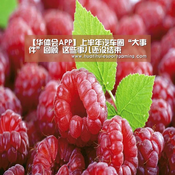 华体会直播