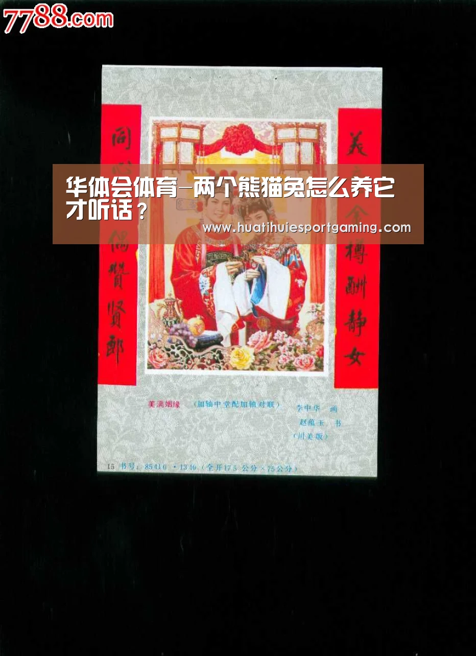 华体会体育-两个熊猫兔怎么养它才听话?(图1) 华体会直播
