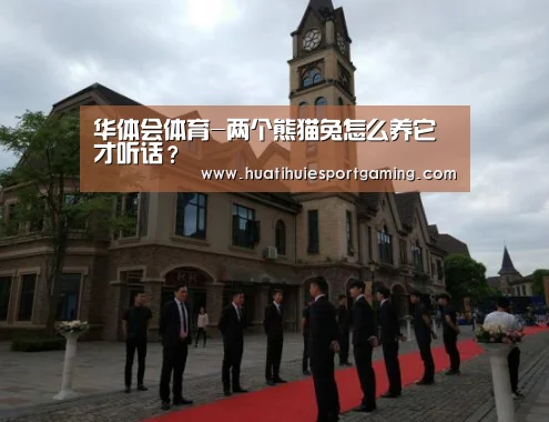 华体会体育-两个熊猫兔怎么养它才听话?(图2) 华体会真人