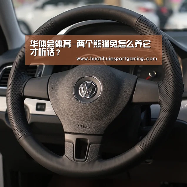 华体会体育-两个熊猫兔怎么养它才听话?(图3) 华体会真人